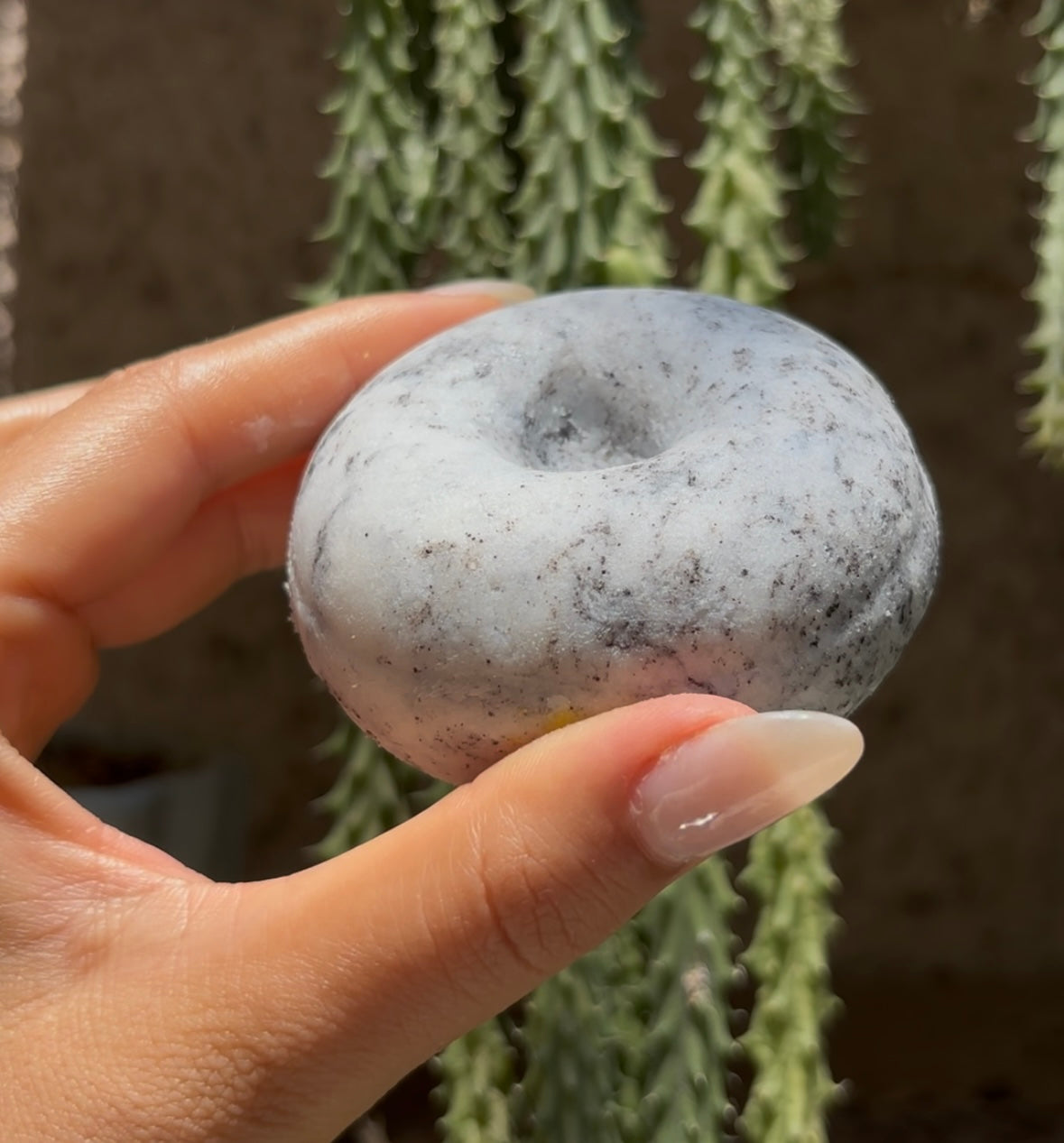 Shampoo de menta y barro negro