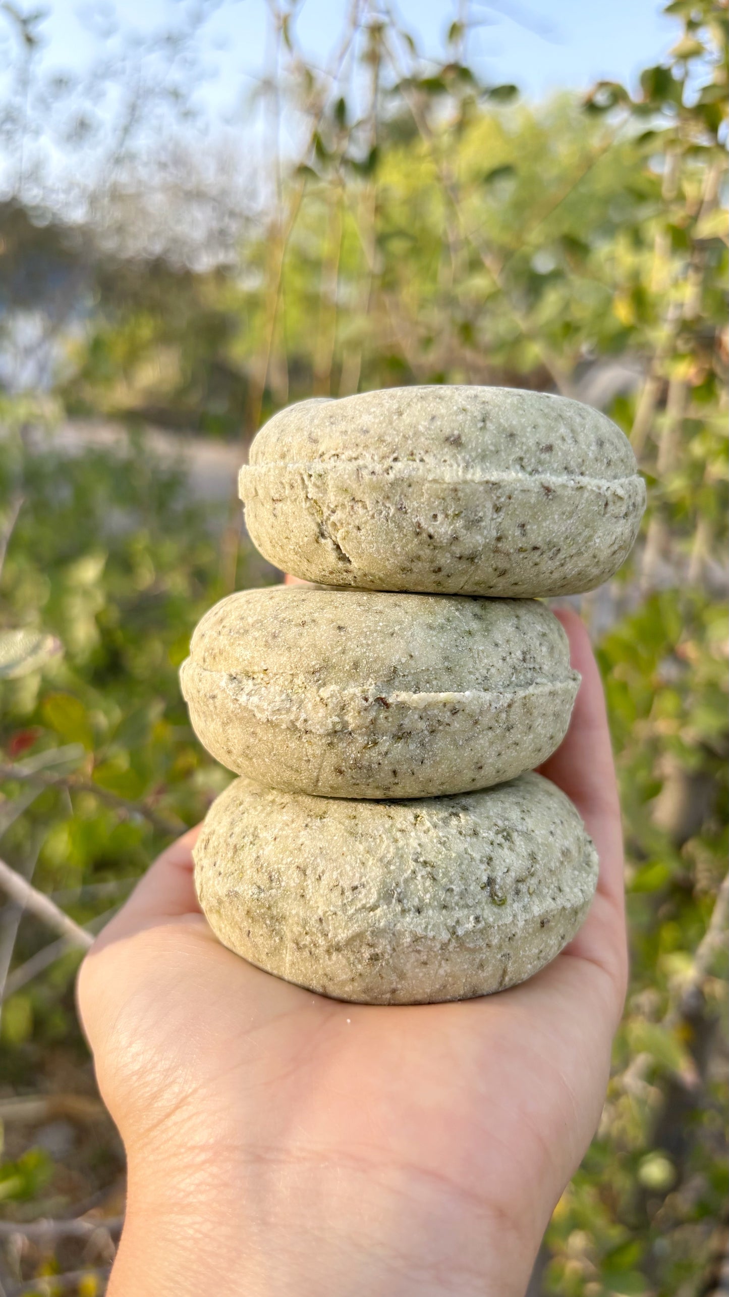 Shampoo Solido de Romero