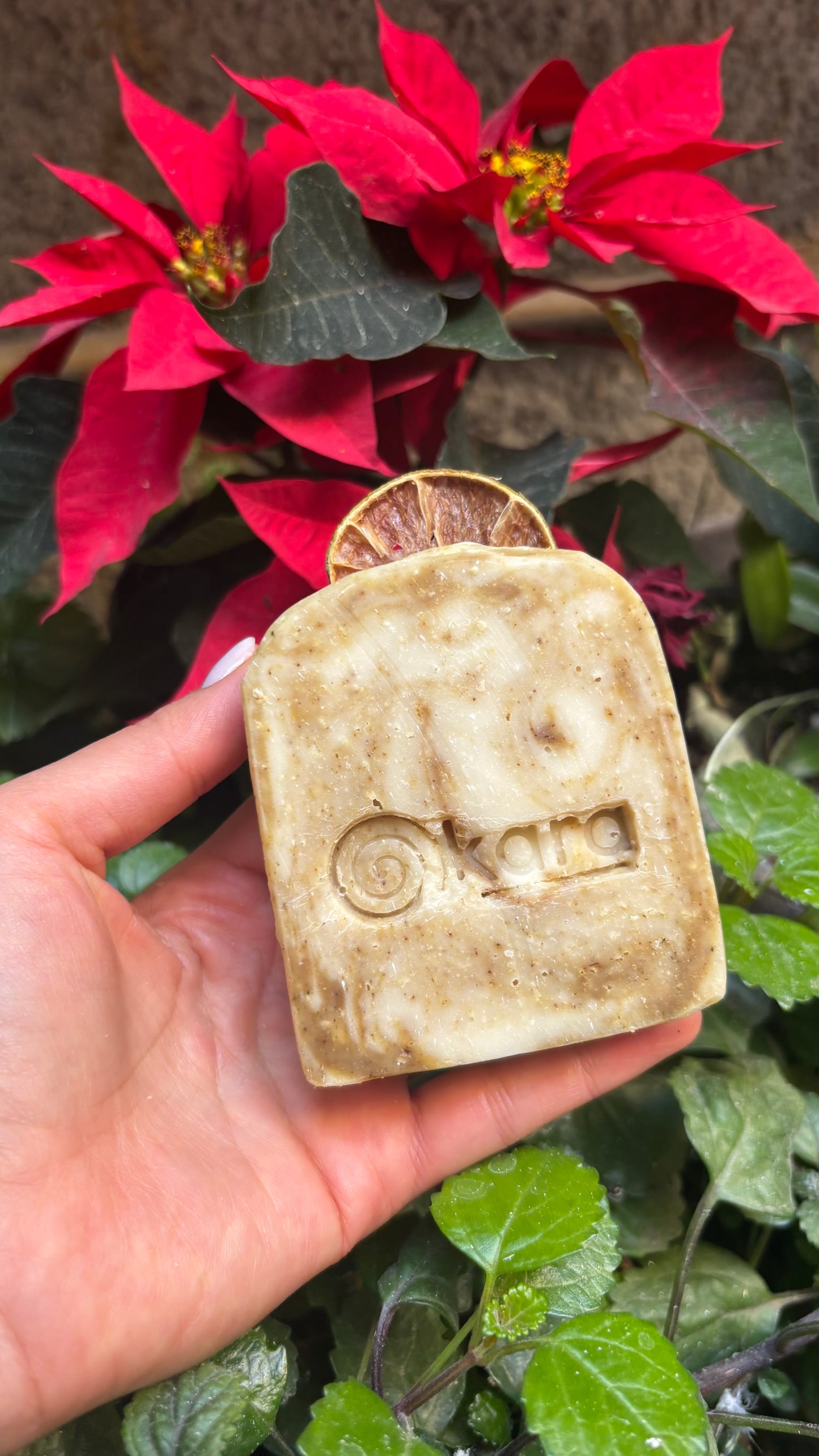 PREVENTA- ESPECIAL DE NAVIDAD 🎄 💚✨