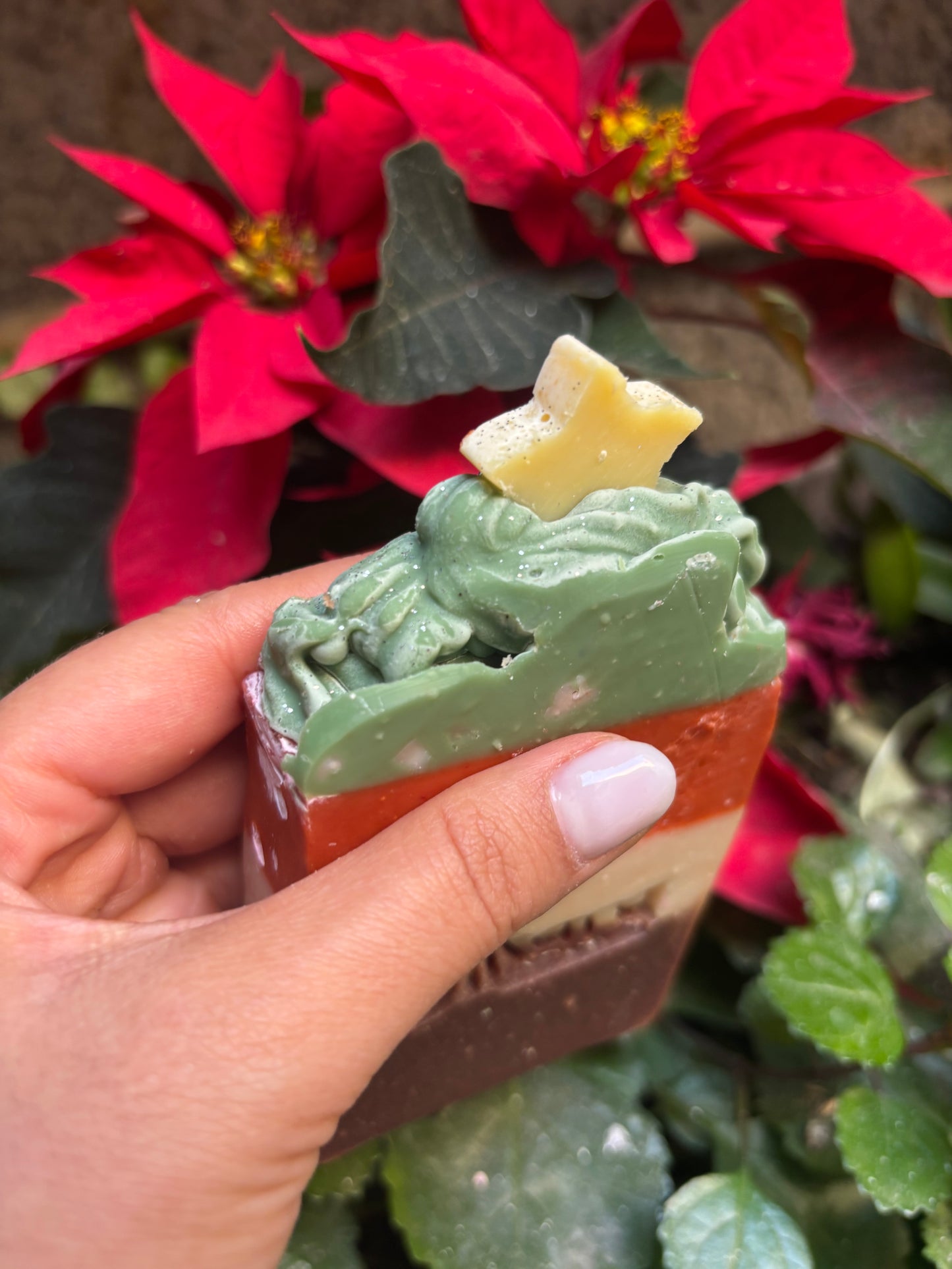 PREVENTA- ESPECIAL DE NAVIDAD 🎄 💚✨