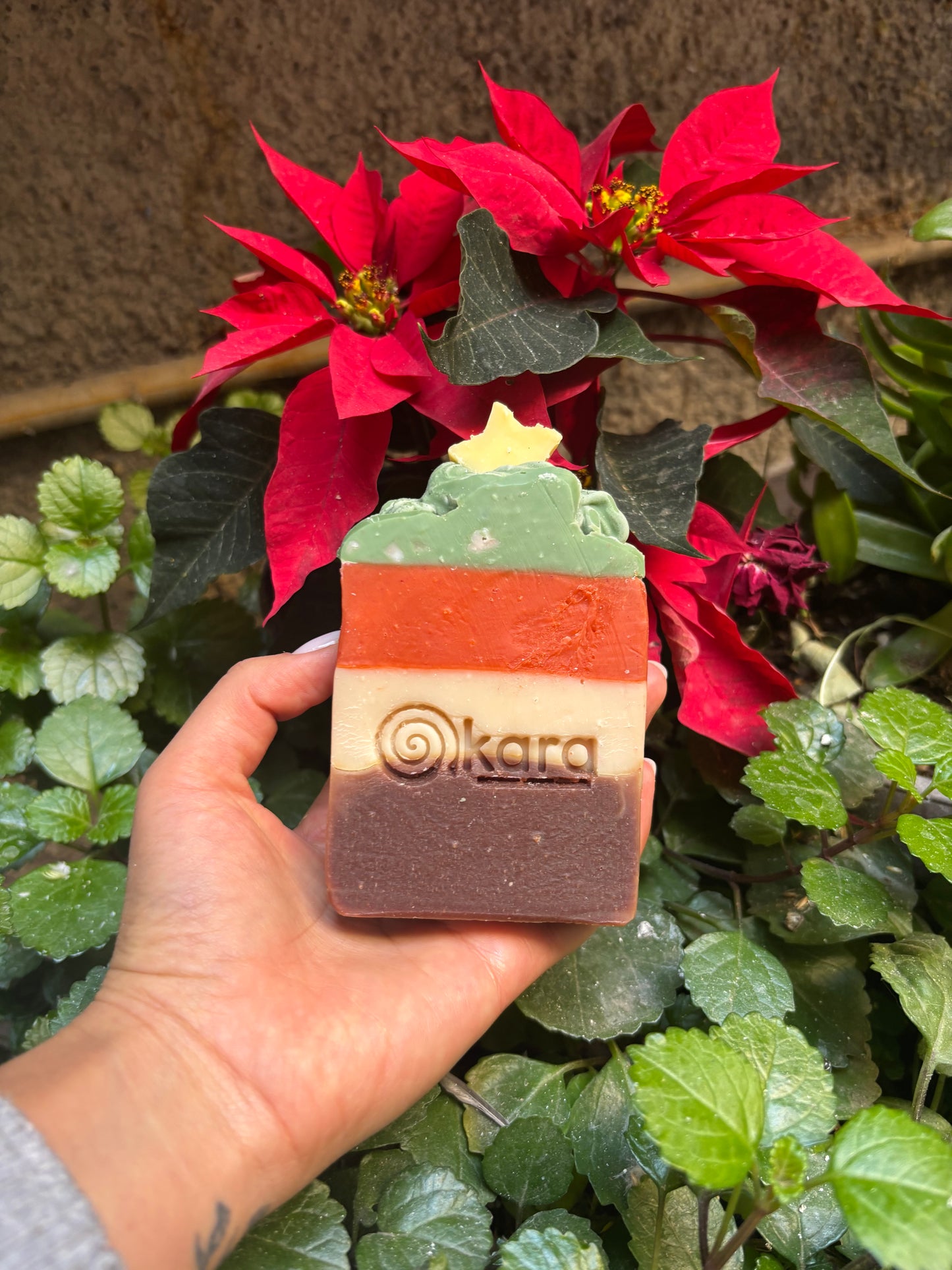 PREVENTA- ESPECIAL DE NAVIDAD 🎄 💚✨