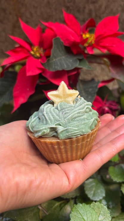 PREVENTA- ESPECIAL DE NAVIDAD 🎄 💚✨